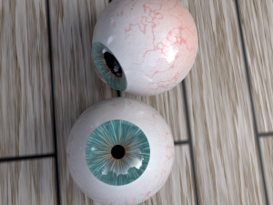 realistic eye ball 3D-Modell
