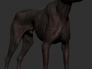 dog Modèle 3D