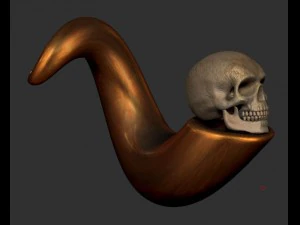 cr&acirc;nio Modelo 3D