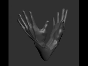 hands 3D Model