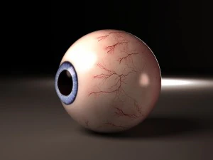 realistic human eye for characters 3D Model