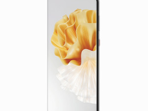 HUAWEI P60 Pro 3D Model