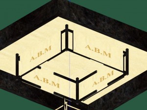 boxingwrestling ring 3D 模型
