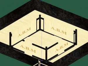 boxingwrestling ring 3D Model