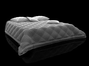 quilted bedspread and pillows 3D Model