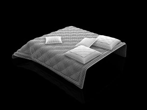 quilted bedspread and pillows 3D Model