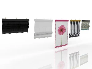 cinco cortinas romanas diferentes con cinco sh diferentes Modelo 3D