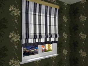 five different roman shades with five different sh 3D Model
