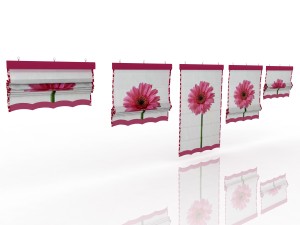 five different roman shades with five different sh Model 3D