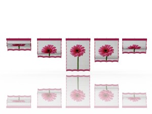 five different roman shades with five different sh Model 3D