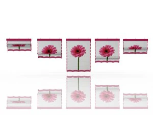 five different roman shades with five different sh 3D Model