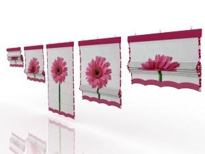 five different roman shades with five different sh Model 3D