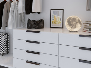 womens wardrobe 3D 모델