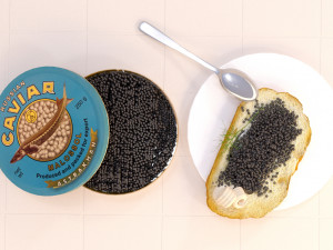 black caviar 3D Model