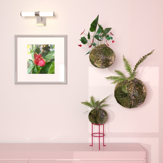 kokedama plant Modèle 3D .c4d .max .obj .3ds .fbx .stl .blend 
