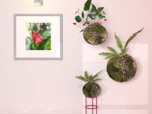 kokedama plant 3D Model