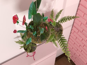 kokedama plant Modèle 3D