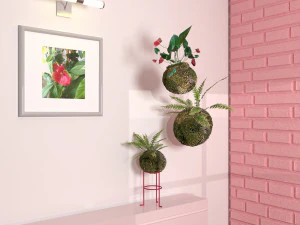 kokedama plant 3D Model
