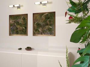 vegetal wall plant 3D Model