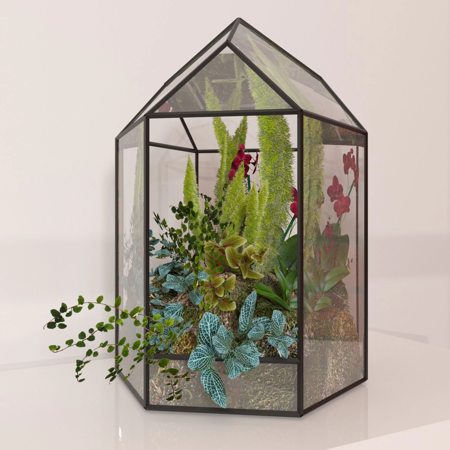 floriana plant 3D Model .c4d .max .obj .3ds .fbx .stl .blend