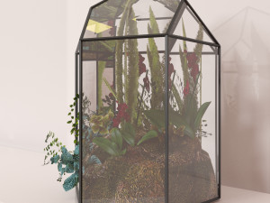 floriana plant Modèle 3D