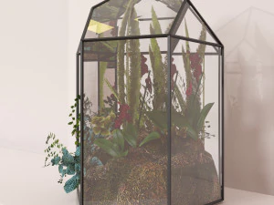 floriana plant 3D Model