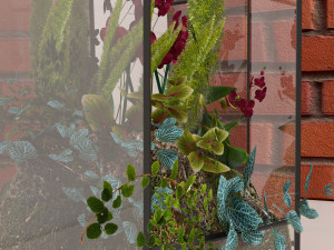 floriana plant Modèle 3D