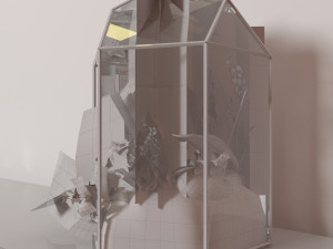 floriana plant Modèle 3D