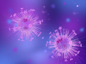 virus 3D Model