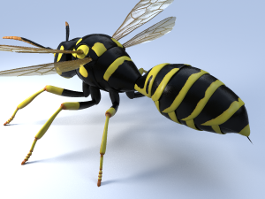 wasp 3Dモデル