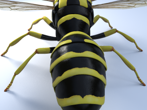 wasp 3Dモデル