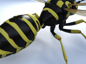 wasp 3Dモデル