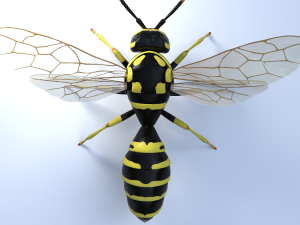 wasp 3Dモデル