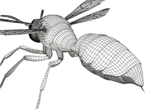 wasp 3Dモデル