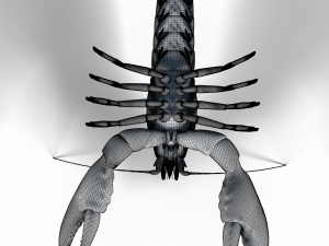 lobster 3D Model