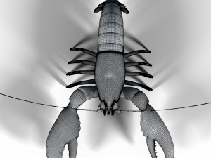 lobster 3D Model