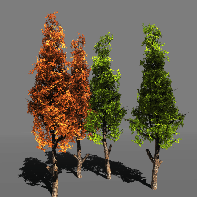 tree pack 1blackgum 3D 模型 .c4d .max .obj .3ds .fbx .stl .blend 