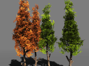 tree pack 1blackgum 3D-Modell