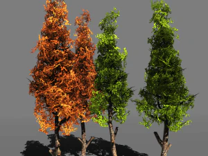 opakowanie drzewa 1 czarna guma Model 3D