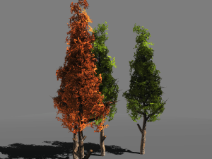 tree pack 1blackgum 3D 模型