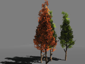 tree pack 1blackgum 3D 模型