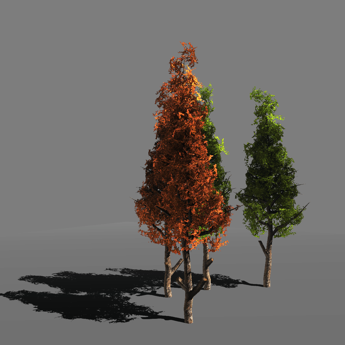 Trees pack. Trees pack