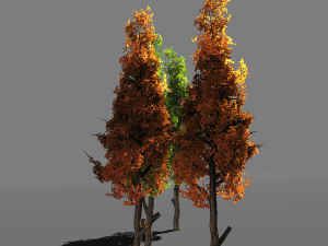 tree pack 1blackgum 3D 模型
