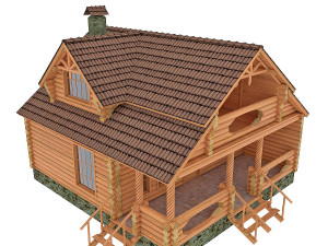 house with a bath 3D 模型