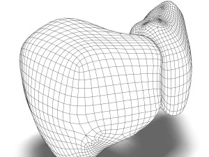 human liver anatomy 3D Model