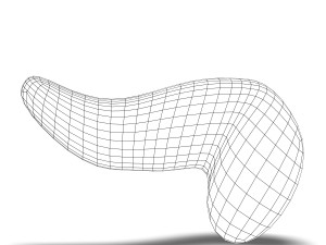 human pancreas anatomy 3D Model