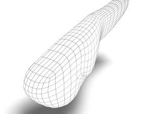 human pancreas anatomy 3D Model