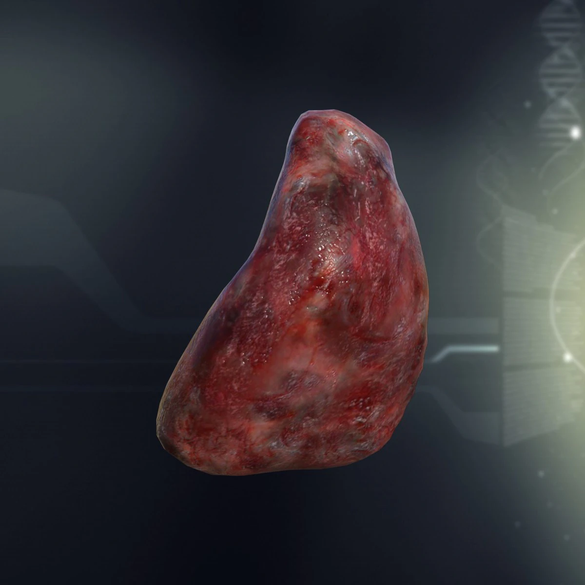 human spleen anatomy 3D Model .c4d .max .obj .3ds .fbx .stl .blend