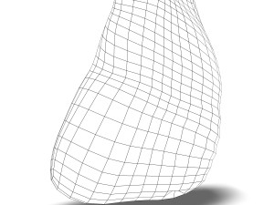 human spleen anatomy Model 3D
