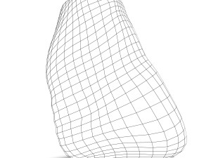 human spleen anatomy Model 3D